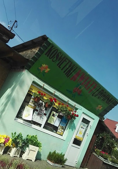 Kaktus. Art. przemysłowe i kwiaty. Kapciak K., Kwiaciarnia w Banie