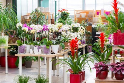 Anna. Kwiaciarnia, Kwiaciarnia w Mysiadło