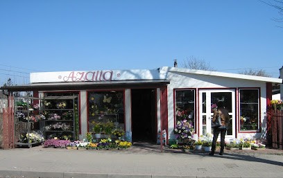 Kwiaciarnia Azalia, Kwiaciarnia w Radomsko