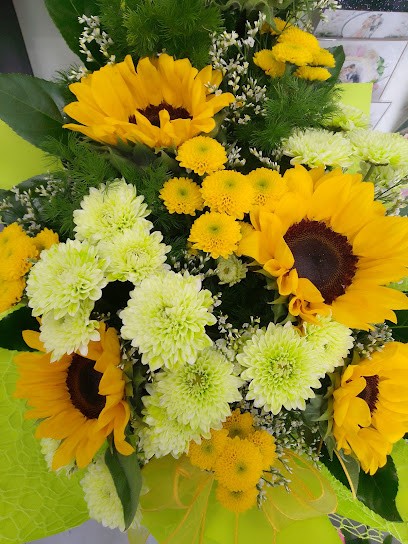Kwiaciarnia MALWA Urszula Kotlarska Kętrzyn, Kwiaciarnia w Kętrzyn