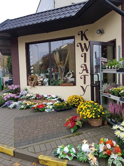 Kwiaciarnia Strelicja, Kwiaciarnia w Gdynia