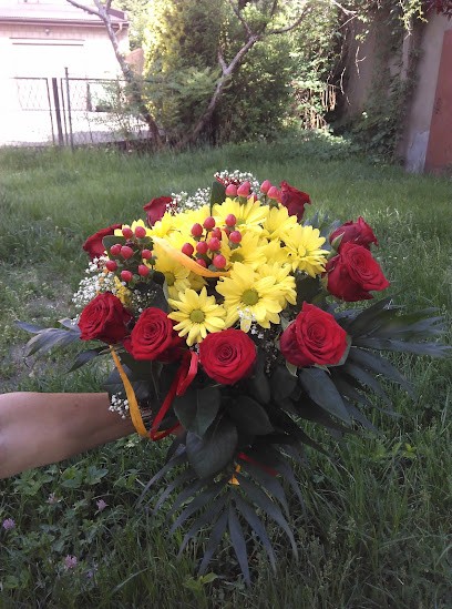 Poczta Kwiatowa Kwiaciarnia 7 Róż Kwiaciarnia Olkusz, Kwiaciarnia w Olkusz