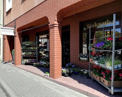 Kwiaciarnia Stokrotka, Kwiaciarnia w Kostrzyn