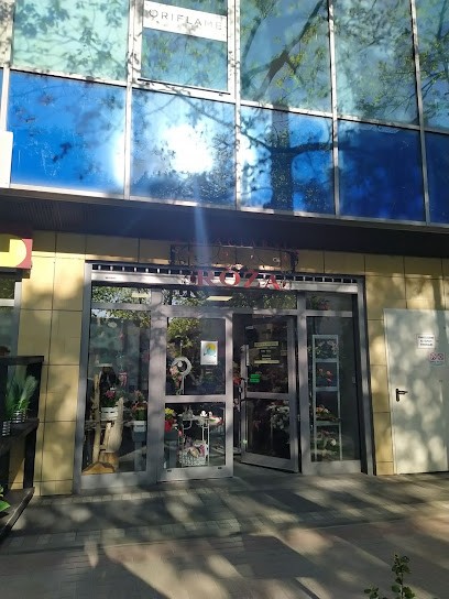 Róża ART, Kwiaciarnia w Konin