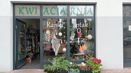 Kwiaciarnia Rajski-ptak, Kwiaciarnia w Miasteczko Śląskie