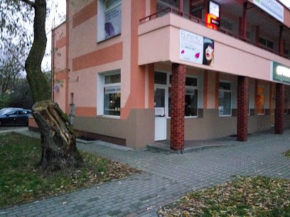 Anemon SC. Kwiaciarnia, Kwiaciarnia w Toruń