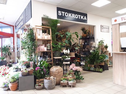 Kwiaciarnia Stokrotka Ewelina Szygenda, Kwiaciarnia w Konin