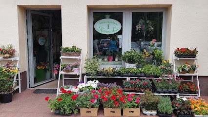 Kwiaciarnia Konwalia Poznan, Kwiaciarnia w Poznań