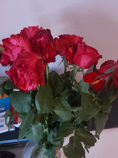 Kwiaciarnia, Kwiaciarnia w Ksawerów