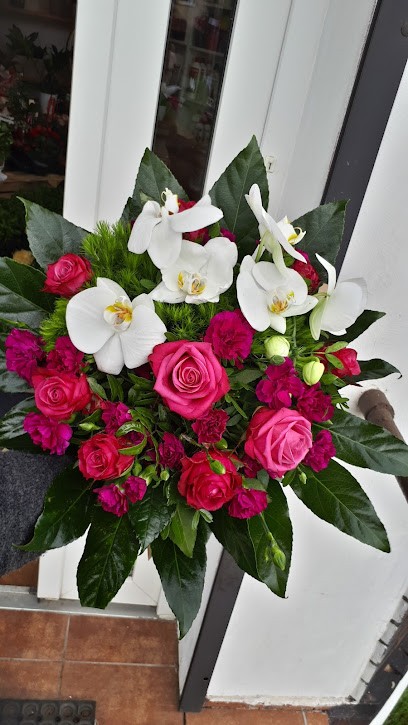 Złoty Tulipan, Kwiaciarnia w Sączów