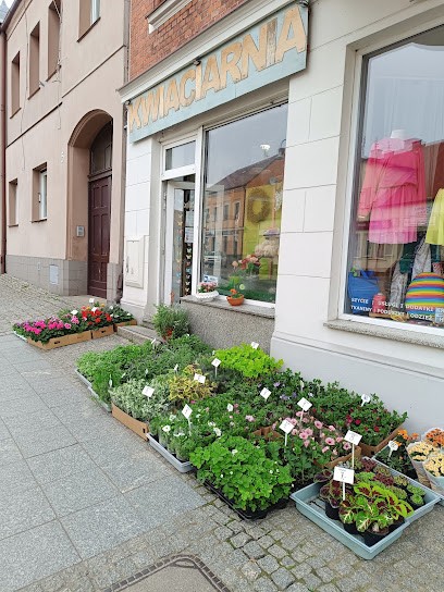 Poznańska 7 Florist, Kwiaciarnia w Murowana Goślina