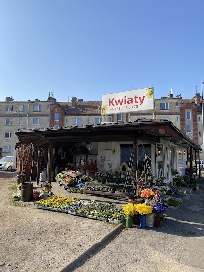 Kwiaciarnia Niebieski Maluch, Kwiaciarnia w Wrocław