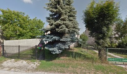 Kwiaty balkonowe i rabatowe, Kwiaciarnia w Żabokliki