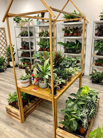 Zielony Pokój, Kwiaciarnia w Oława