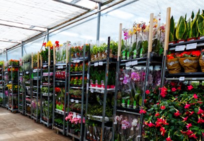 Hurtownia Kwiatów Kama, Kwiaciarnia w Koszanowo