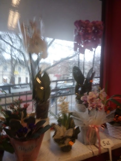 Kwiaciarnia Na Radzymińskiej, Kwiaciarnia w Warszawa