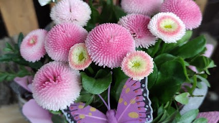 Kwiaciarnia Stokrotka Bożena Walasek, Kwiaciarnia w Kobyłka