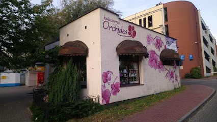 Orchidea, Kwiaciarnia w Kielce