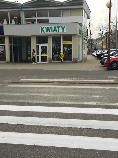 Avena. Kwiaciarnia, Kwiaciarnia w Jelenia Góra