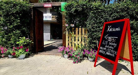 Kwiaciarnia Na Spokojnej, Kwiaciarnia w Ciechanów