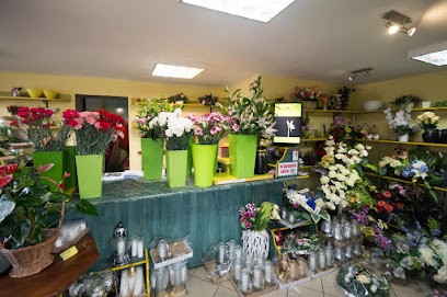 Kwiaciarnia RZYM Grażyna Rzymska, Kwiaciarnia w Wysokie Mazowieckie