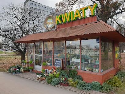Żuczek, Kwiaciarnia w Wrocław