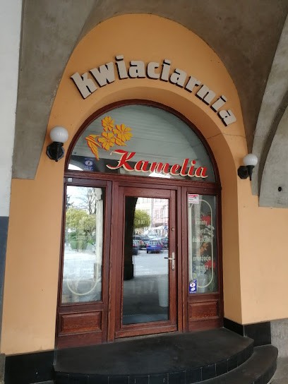 Kamelia. Kwiaciarnia. Matusz M., Kwiaciarnia w Jarosław