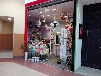 Kwiatami Malowane - Florist - Katarzyna Myślicka, Kwiaciarnia w Zielona Góra