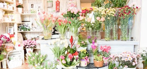 Kwiaciarnia Jadów, Kwiaciarnia w Jadów