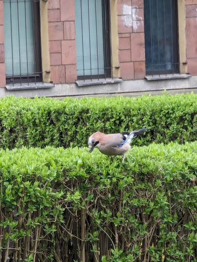 Poczta Kwiatowa Sp. z o.o., Kwiaciarnia w Piła