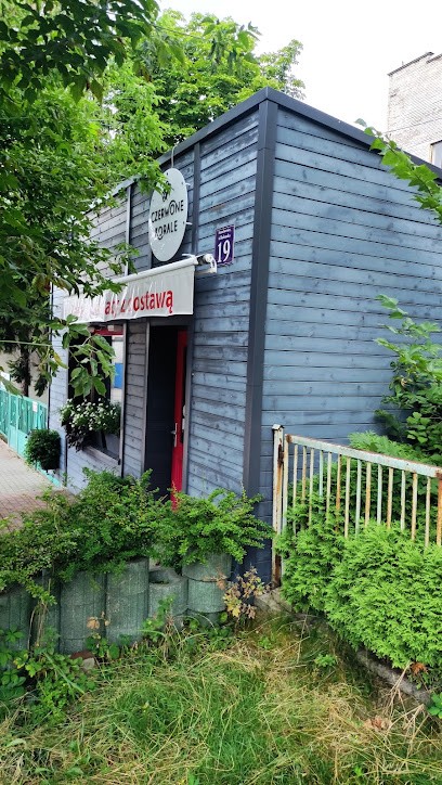 Florist Starachowice. RED BEADS, Kwiaciarnia w Starachowice