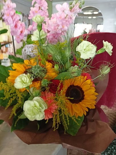 Finezja Kwiaciarnia Olechnowicz, Kwiaciarnia w Nowogard