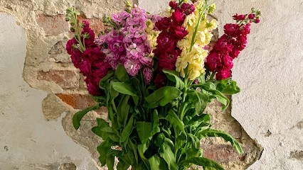 NAKWIAT, Kwiaciarnia w Pruszków