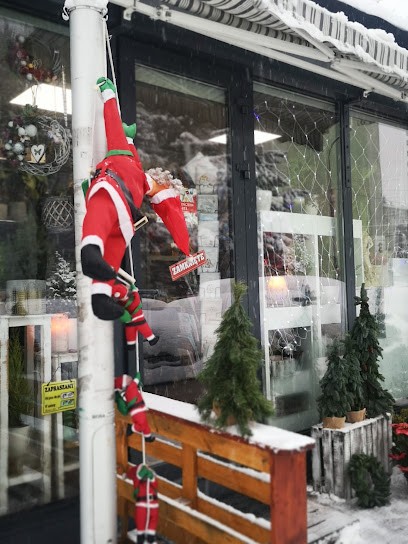 Stefanotis Flower Market, Kwiaciarnia w Wadowice
