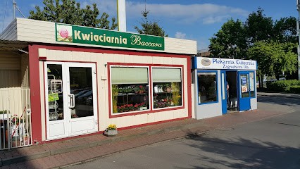Baccara. Kwiaciarnia, Kwiaciarnia w Poznań
