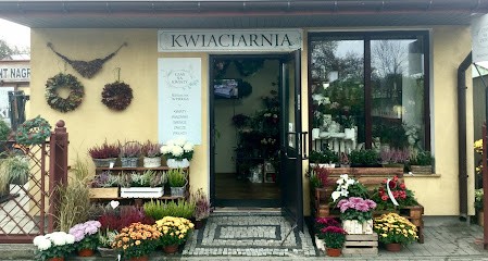 Kwiaciarnia Czas na kwiaty, Lubartów, Kwiaciarnia w Lubartów