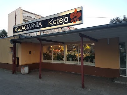 Kwiaciarnia Katleja, Kwiaciarnia w Szczecin