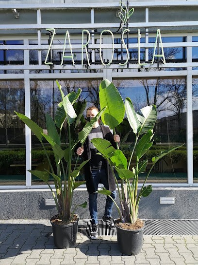 Zarośla, Kwiaciarnia w Poznań