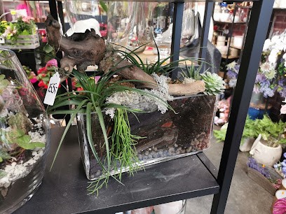 Florist Tarnobrzeg | Florist Goshia, Kwiaciarnia w Tarnobrzeg