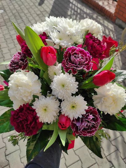 ., Kwiaciarnia w Koło