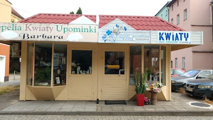 KWIACIARNIA Jan i Anna Zasowscy, Kwiaciarnia w Wołów