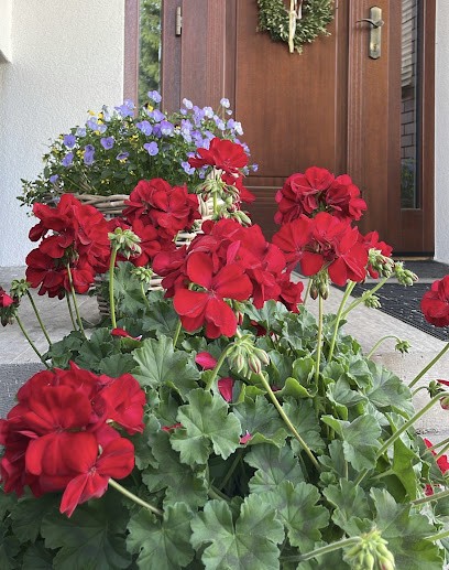 Gospodarstwo Ogrodnicze Gołda, Kwiaciarnia w Zawada