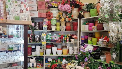 Kwiaciarnia „Ania”, Kwiaciarnia w Żnin