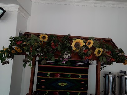 Pracownia Florystyczna NARCYZEK Sylwia Bogusz, Kwiaciarnia w Opoczno