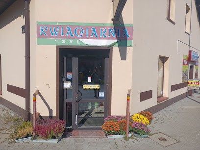 Kwiaciarnia, Kwiaciarnia w Dłutów