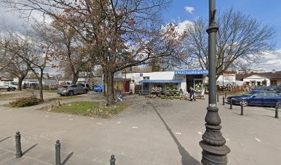 Radziszewski Jacek. Kwiaciarnia, Kwiaciarnia w Warszawa