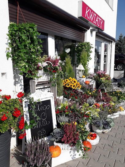 Kwiaciarnia Black Baccara, Kwiaciarnia w Wrocław