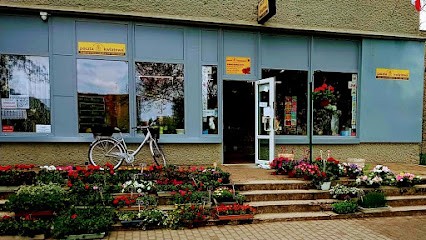 Kwiaciarnia Irys Andrzej Sienkiewicz Kluczbork, Kwiaciarnia w Kluczbork