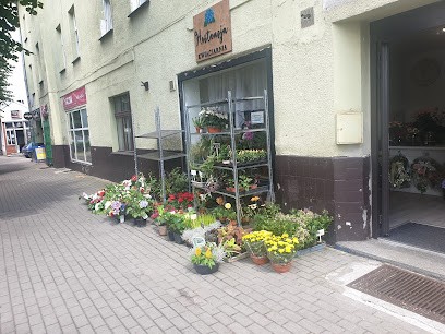 Kwiaciarnia Hortensja, Kwiaciarnia w Jaworzyna Śląska