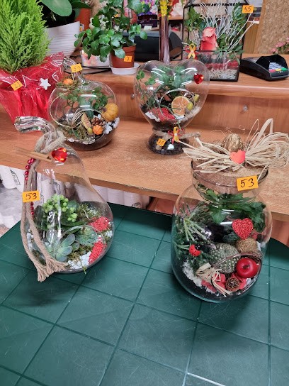 Kwiaciarnia Grażka, Kwiaciarnia w Wodzisław Śląski